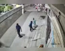 Leão salta muro e ataca mulher e crianças no Paquistão