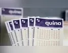 Ninguém acerta Quina 6782 e prêmio chega a R$ 3,6 milhões