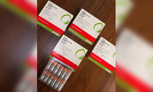 16ª Regional recebe 6.700 doses da vacina ACWY contra meningite