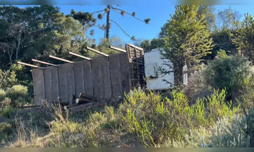 Caminhoneiro morre esmagado após caminhão cair em ribanceira
