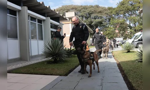 PCPR forma sete condutores em curso inédito de operações com cães