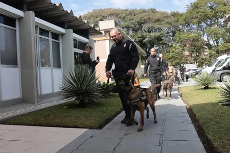 A formação é uma iniciativa inédita na PCPR