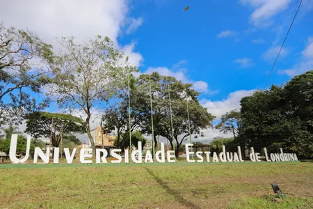 A metade final da graduação terá foco em disciplinas específicas da área
