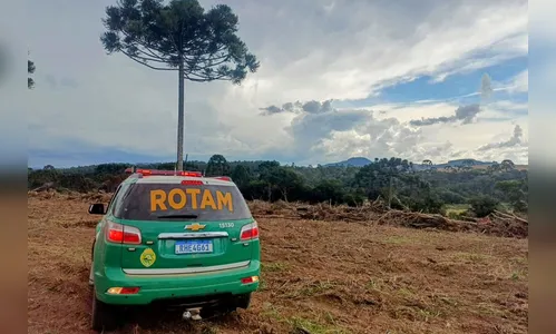 PMPR resgata 216 animais e interrompe desmatamento ilegal