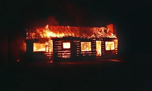 Homem tenta queimar formigueiro e acaba incendiando a própria casa