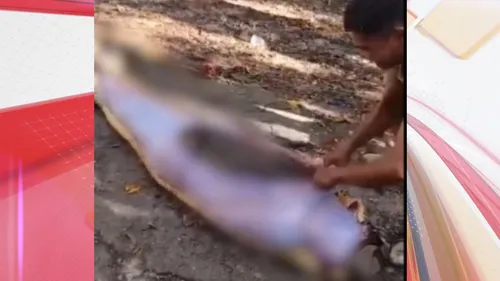 A vítima trabalhava como agricultor