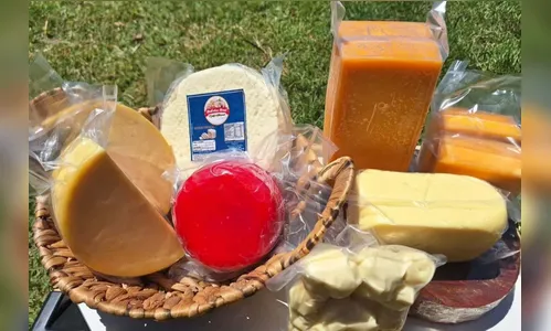 Queijaria de Jandaia do Sul é destaque no Prêmio Queijo Brasil