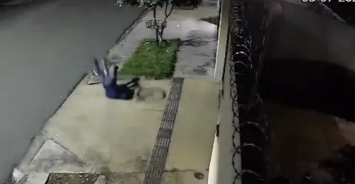 As causas do acidente ainda estão sendo investigadas