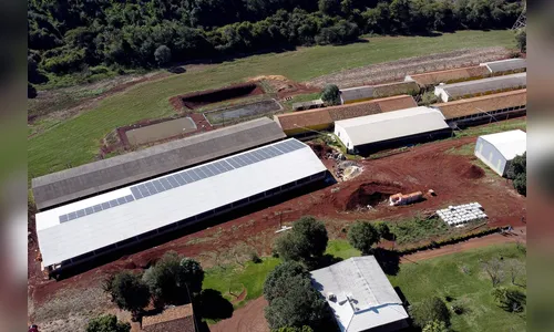 BRDE liberou R$ 305 milhões no Banco do Agricultor Paranaense