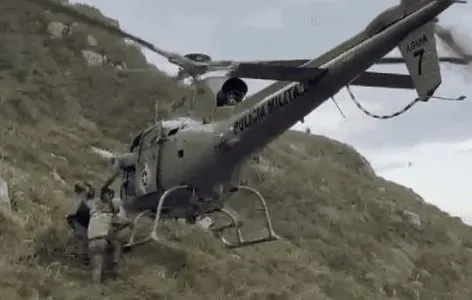 Bombeiros usaram helicóptero para salvar o animal