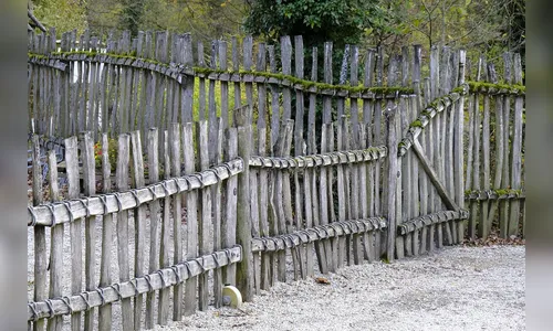 Dono de sítio fica ferido durante tentativa de roubo em Marilândia