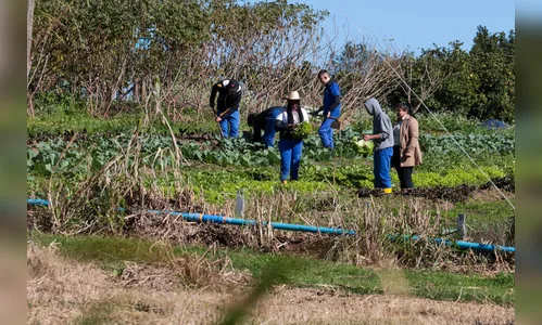 Novo modelo de ensino agrícola transforma educação do Paraná