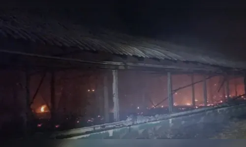 21 mil pintinhos morrem queimados após granja pegar fogo no Paraná