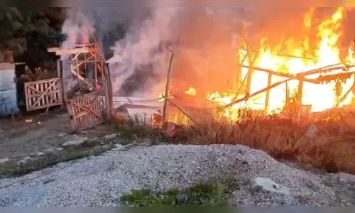 Sete animais de estimação morrem carbonizados durante incêndio no PR