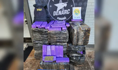 Operação apreende quase meia tonelada de maconha no Paraná