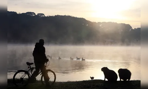 Chance de geada atingir o PR será maior na quarta, diz meteorologista