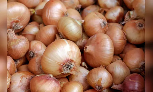 Substância presente na cebola pode ser aliada da saúde cardiovascular