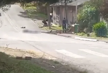 Homem é espancado até a morte após xingar mãe de amigo no PR; vídeo
