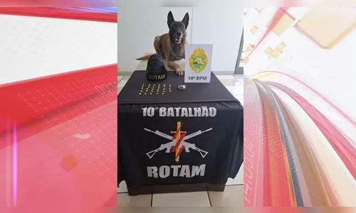 Homem é preso por tráfico de drogas em Apucarana após denúncias