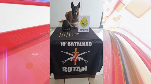 Homem é preso por tráfico de drogas em Apucarana após denúncias