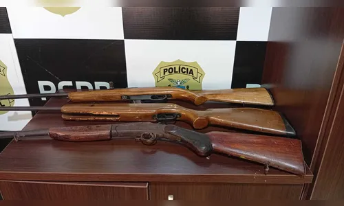 Polícia apreende espingardas em imóvel na zona rural de Jardim Alegre