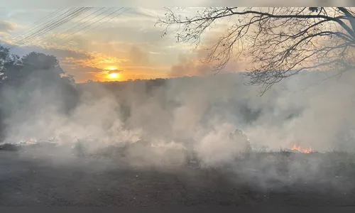Incêndios ambientais geram alerta em Apucarana e região
