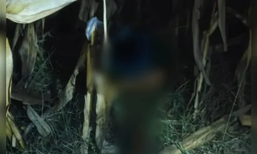 Indígena é decapitado em área rural de cidade do Paraná