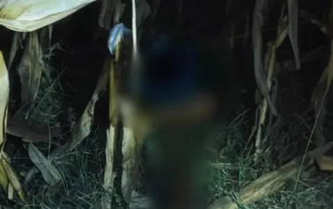 Indígena foi decapitado na madrugada