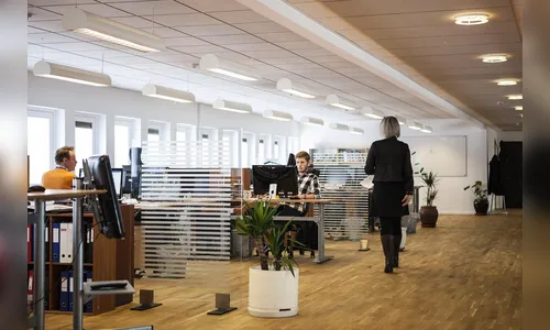 Fomento e Inovação: O Combustível para o Crescimento Empresarial