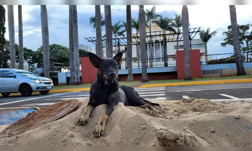 Veja como fica o tempo em Apucarana nesta quinta-feira (31)