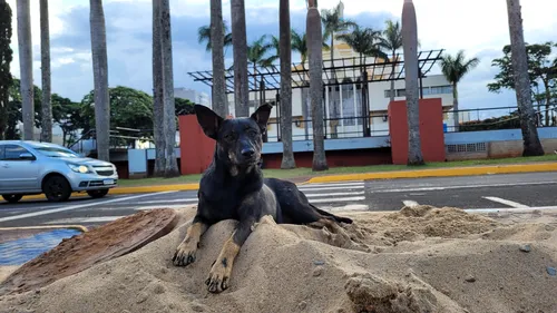 Não há previsão de chuva ao longo do dia