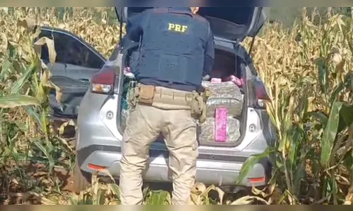 PRF apreende quase 400 quilos de drogas na rodovia BR-376