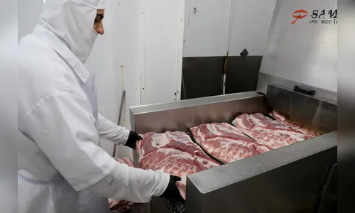 Chile reconhece status sanitário do Paraná e produtores poderão vender