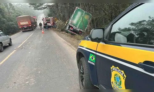 Homem morre após caminhão sair da pista e bater em árvore na BR-153