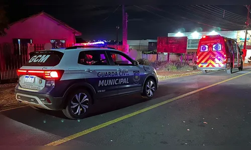 Idosa e sua cadelinha são atropeladas em Apucarana