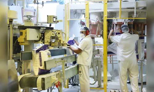 Paraná tem mais de 21 mil vagas de emprego; confira as oportunidades