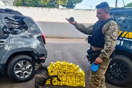 O condutor do veículo foi preso em flagrante e encaminhado à 9ª Subdivisão da Polícia Civil de Maringá