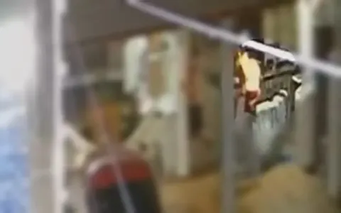 O crime foi flagrado por câmeras de segurança de uma residência vizinha