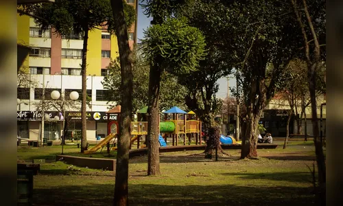 Veja como fica o tempo em Apucarana nesta quarta-feira (09)