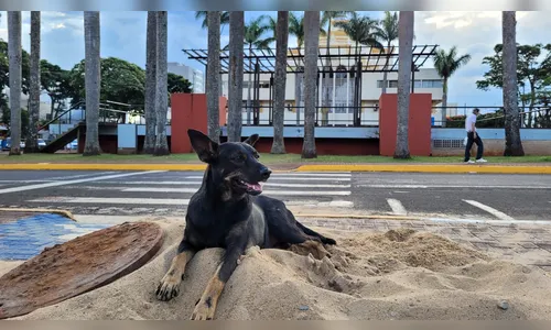 Veja como fica o tempo em Apucarana neste sábado (19)