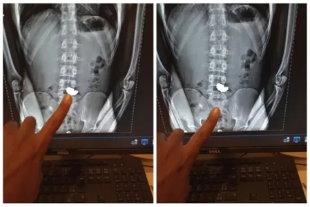 O homem foi preso em flagrante após o atendimento médico