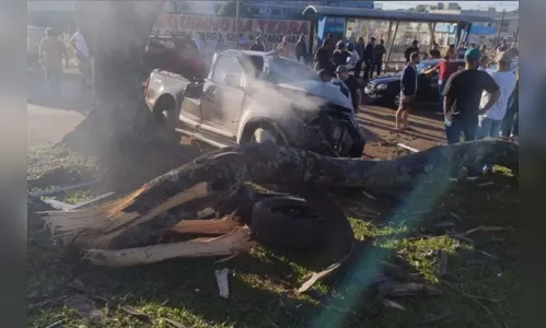 Caminhonete “decola” em lombada e derruba árvore