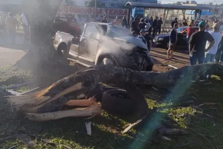 O impacto foi tão forte que a árvore foi arrancada com raiz e tudo