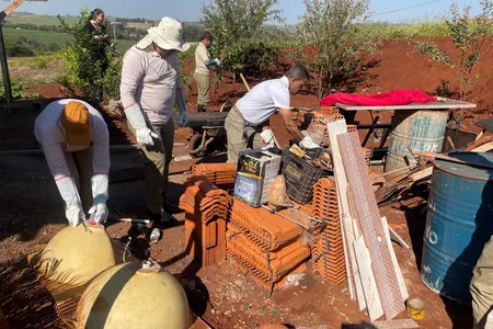 Os animais estavam se abrigando em terrenos com acúmulo de lixo e entulhos