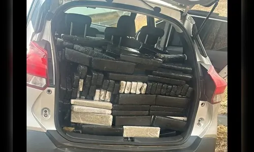 Homem é preso com quase 500 kg de maconha na BR-369