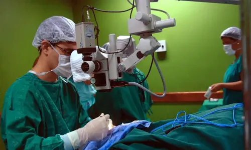Pessoas com fatores de risco devem começar os exames de rastreamento antes dos 50 anos