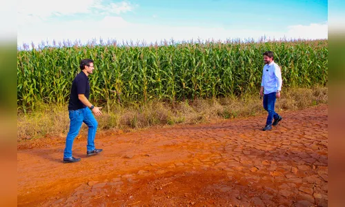 Audiência pública sobre pavimentação de estradas ocorrerá em Arapongas