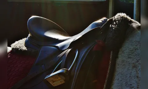 Ladrão invade e 'faz a limpa' em garagem de sítio no Pirapó