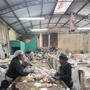Sessenta famílias de cooperados trabalham na Cocap