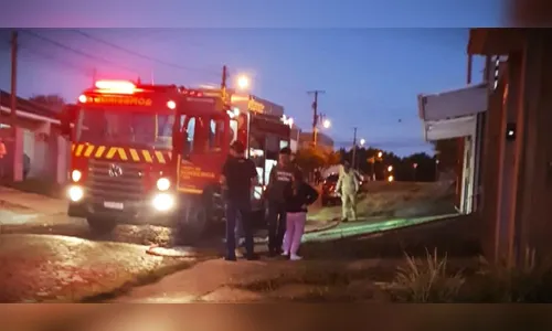 Militar afastado vê ‘demônio em Pit Bull’ e põe fogo em casa no Paraná